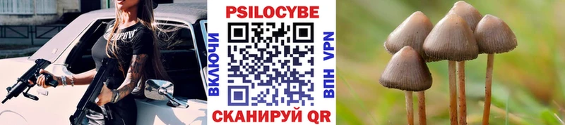 Псилоцибиновые грибы Cubensis  Купить где  Морозовск 